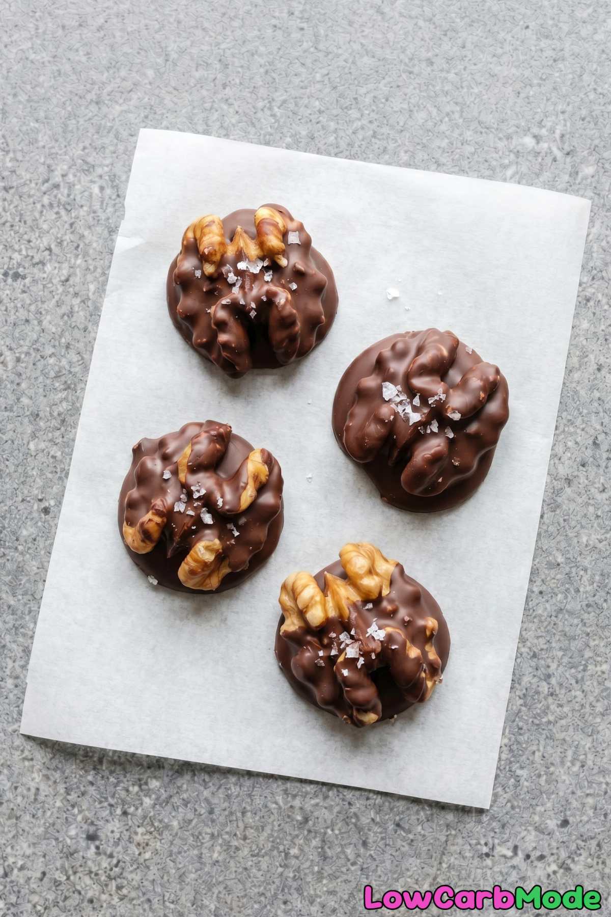 wholesome dark chocolate walnut snacks