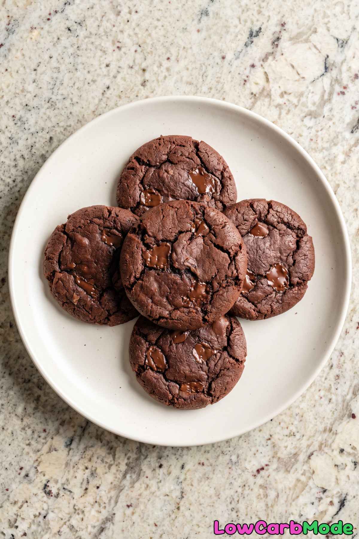 Rich chocolate keto mocha cookies