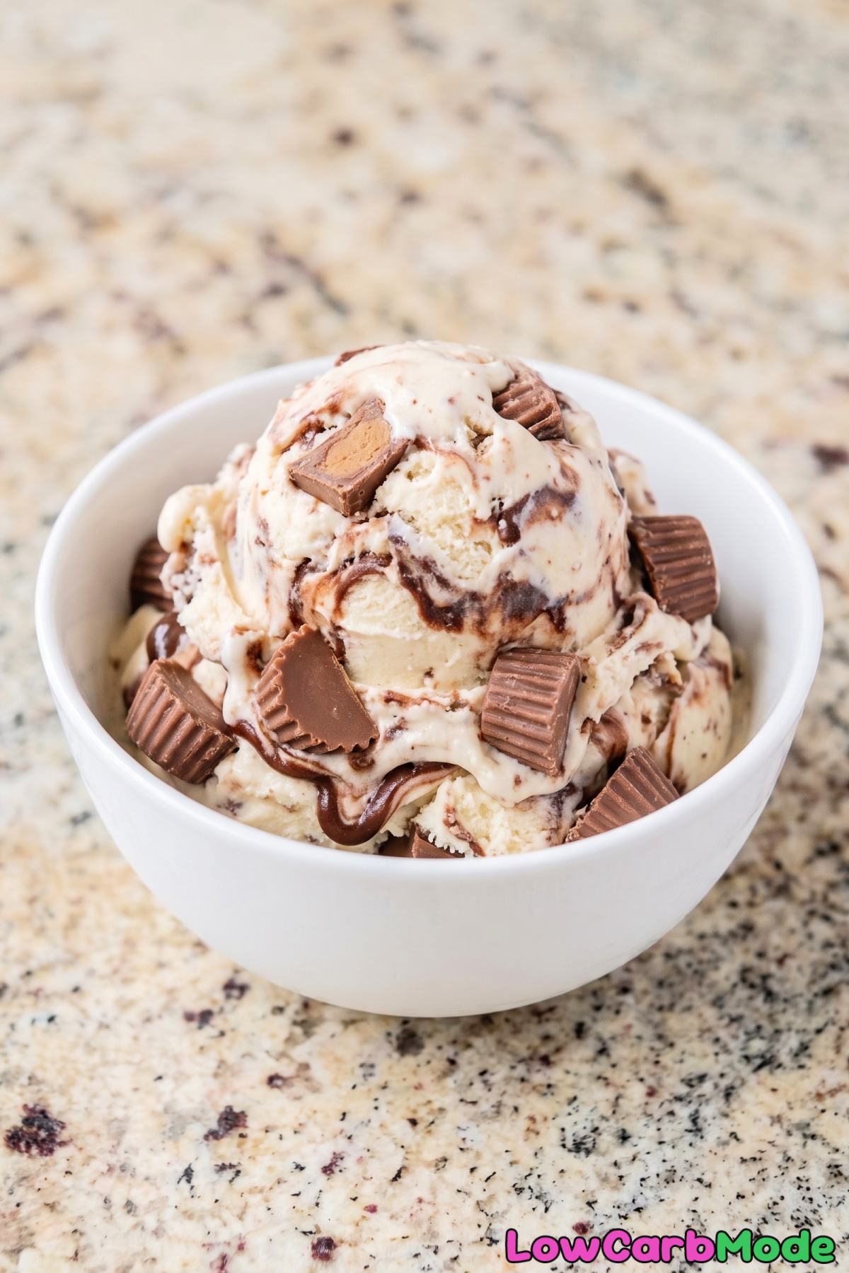 Rich sugar free moose tracks ice cream