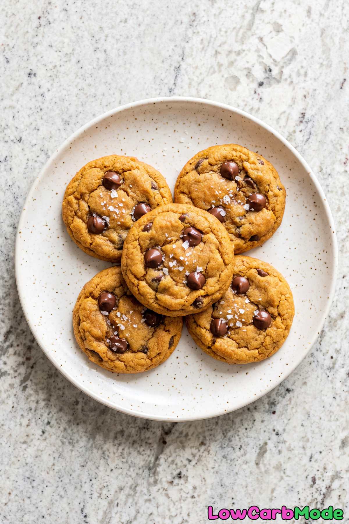 Tender keto pumpkin chocolate chip cookies