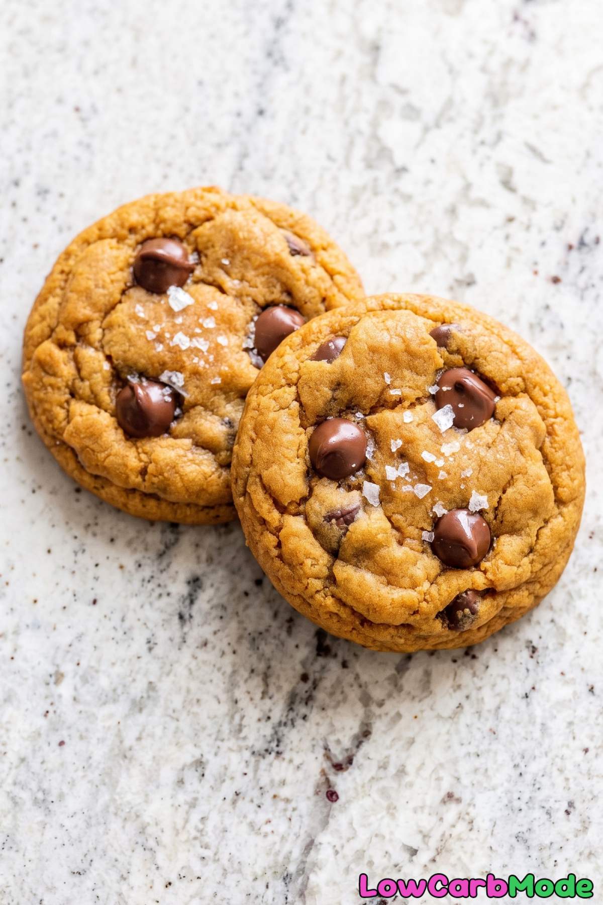 Chewy low carb pumpkin chocolate chip cookies