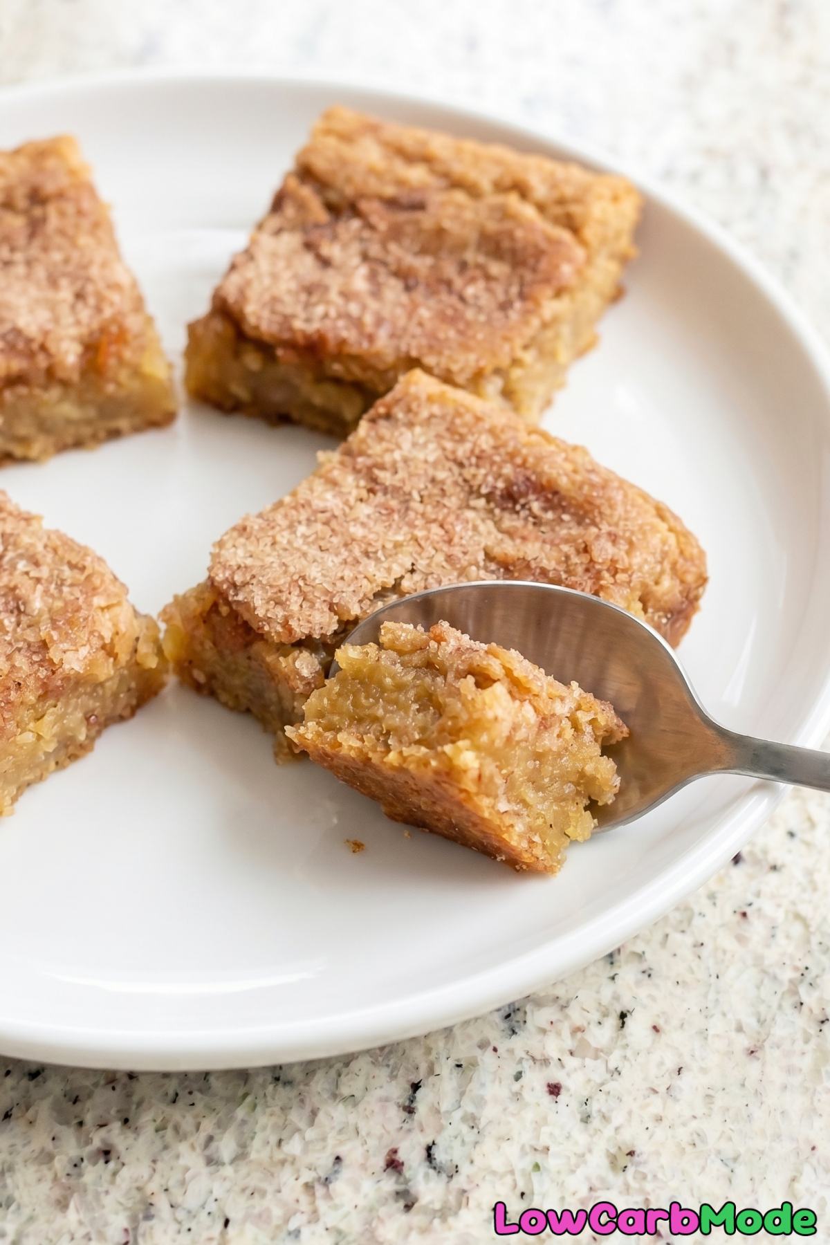 Golden low carb snickerdoodle blondies