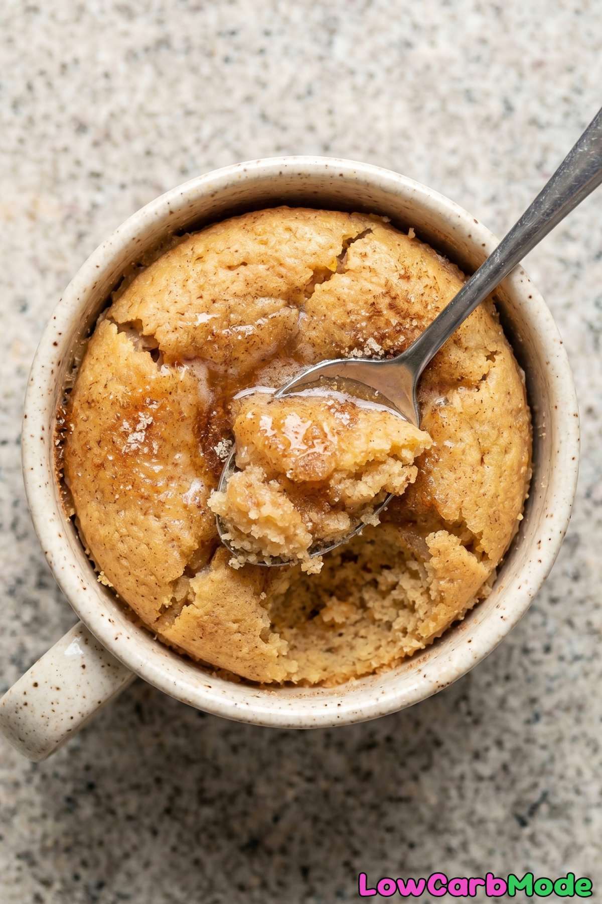 Cozy keto snickerdoodle mug cake closeup