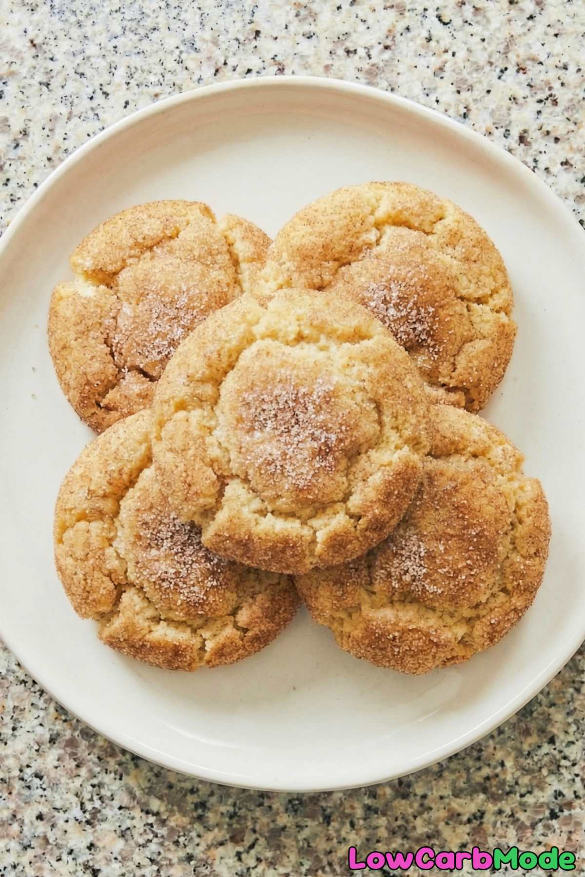 Classic low carb snickerdoodle cookies
